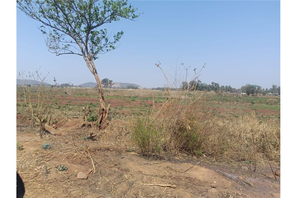 Residencial - Granja - Honingneskrans, Gauteng - South Africa - 10 - 1031414014-165