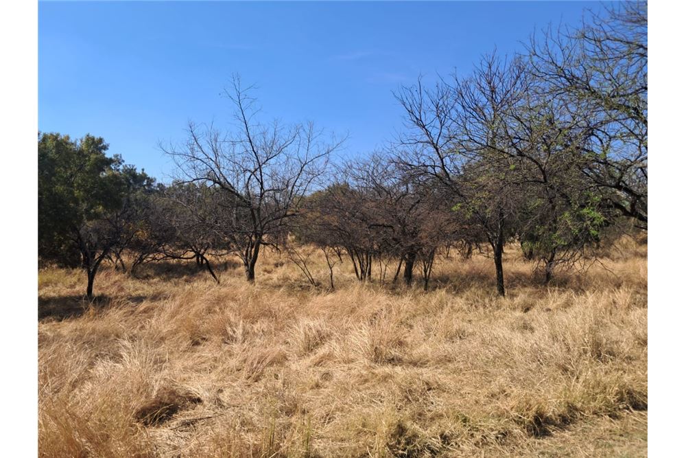 Residenziale - Lotto vacante - Leeuwfontein Estate, Gauteng - South Africa - 63 - 1031414102-104