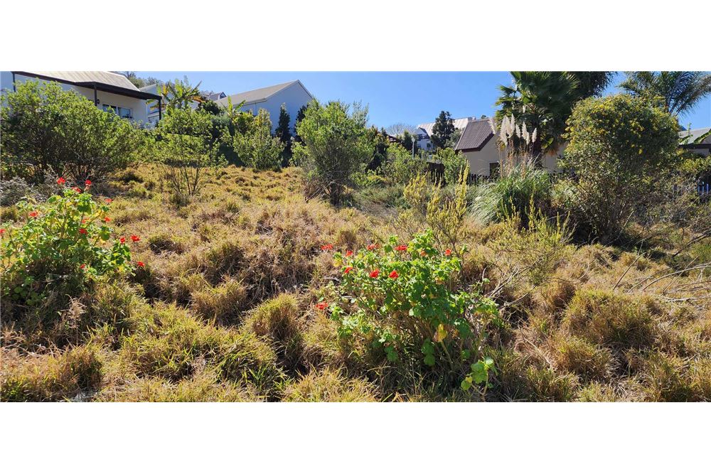 Woningbouw - Onbebouwde grond - Green Pastures, Western Cape - South Africa - 9 - 1031369053-25