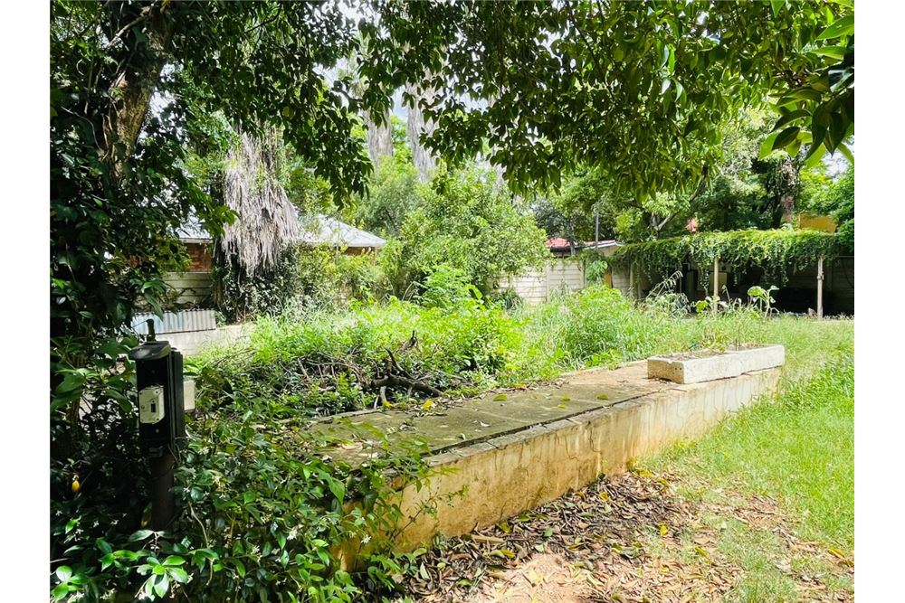 Residential - House - Sunnyside, Gauteng - South Africa - 22 - 1031414137-51