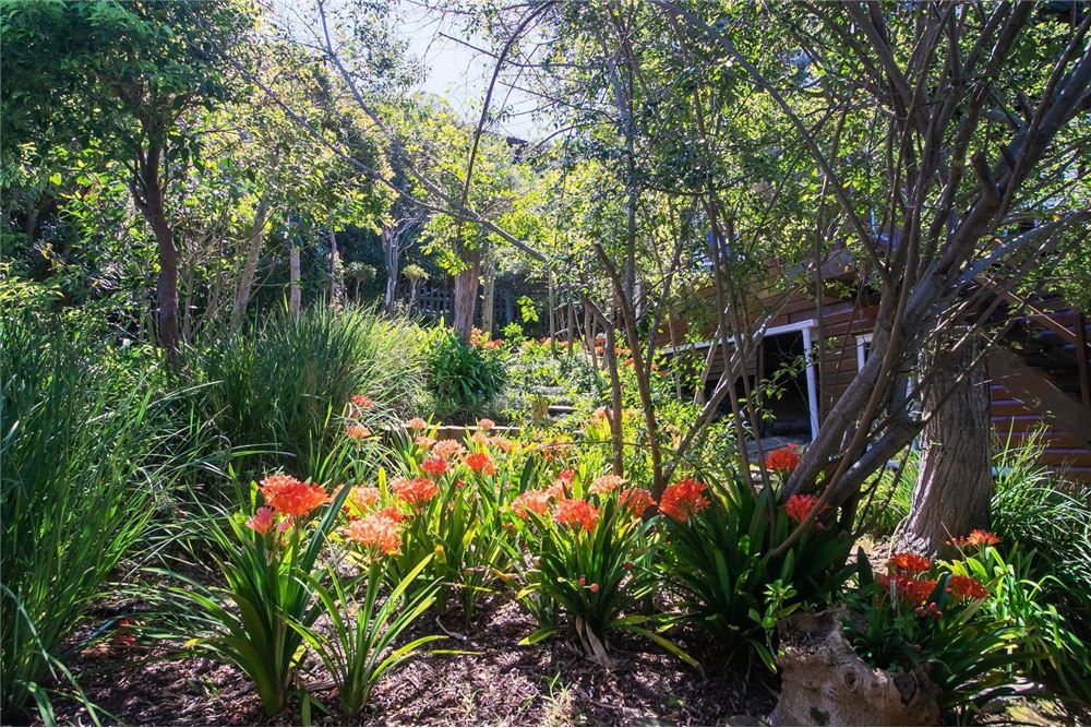 Residential - Hiša večstanovanjska - Old Place, Western Cape - South Africa - 13 - 1031369045-22