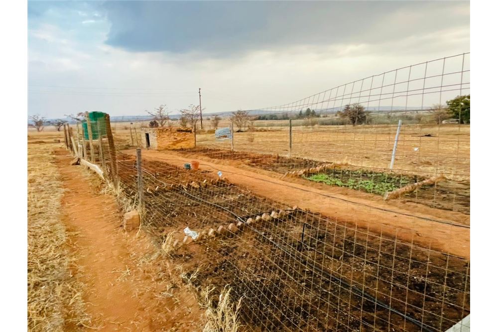 Residencial - Granja - Doornkraal, Gauteng - South Africa - 11 - 1031414137-33