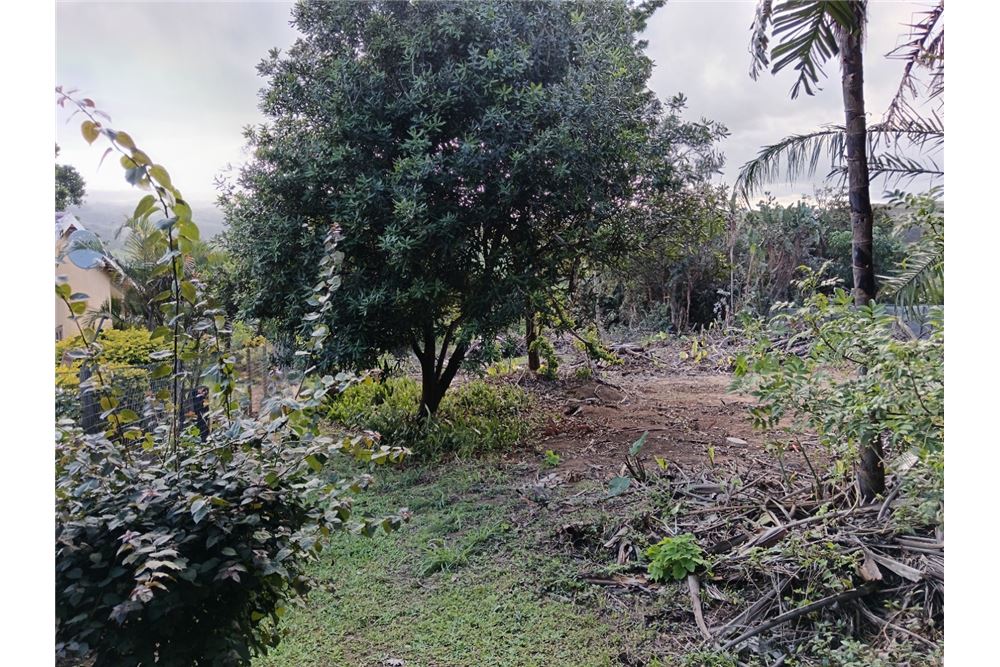 Dzīvojamais - Neapbūvēts zemesgabals - Trafalgar, KwaZulu Natal - South Africa - 17 - 1031394060-123