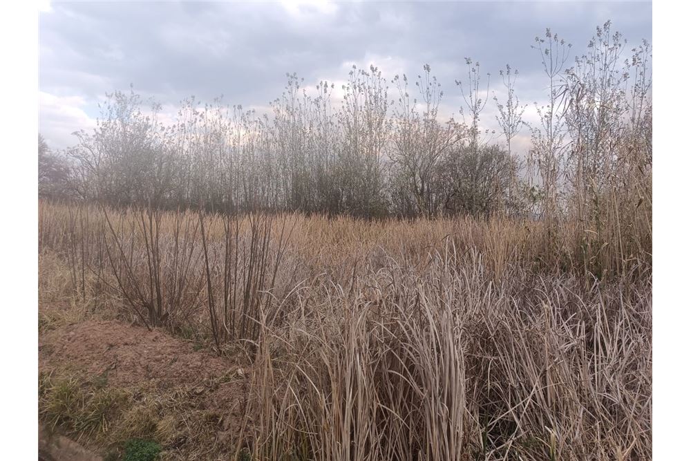 Residencial - Granja - Waterval, Gauteng - South Africa - 20 - 1031414014-164