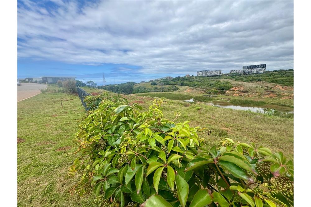 Residential - खाली जमीन - Sibaya, KwaZulu Natal - South Africa - 9 - 1031465010-410