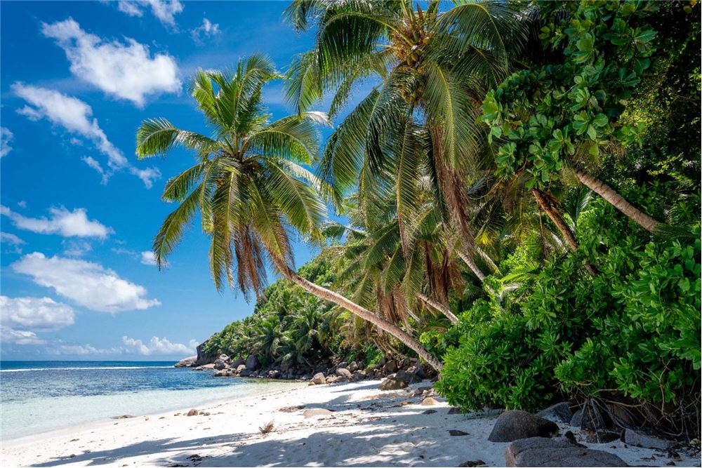 Residential - Vacant Land - Baie St. Anne, Seychelles - Seychelles ...