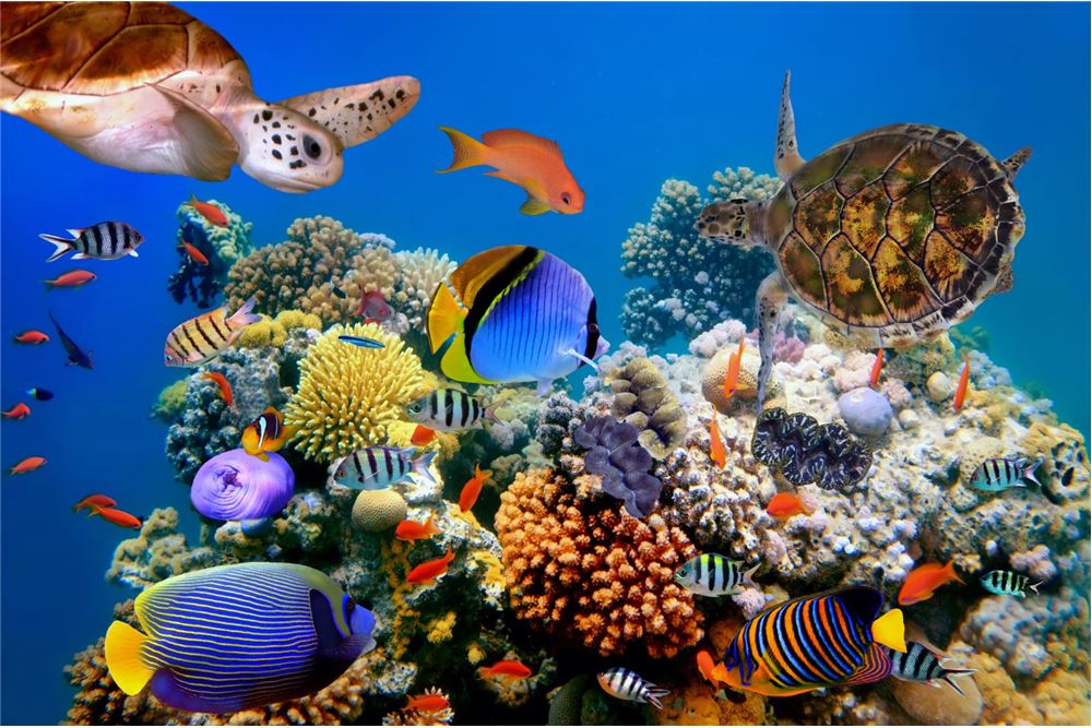 Residential - House - Providence, Seychelles - Seychelles - 7 - 1036001001-13