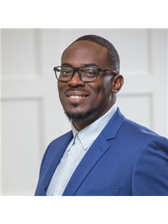 Folu Akindunni - RE/MAX Metropolis Realty