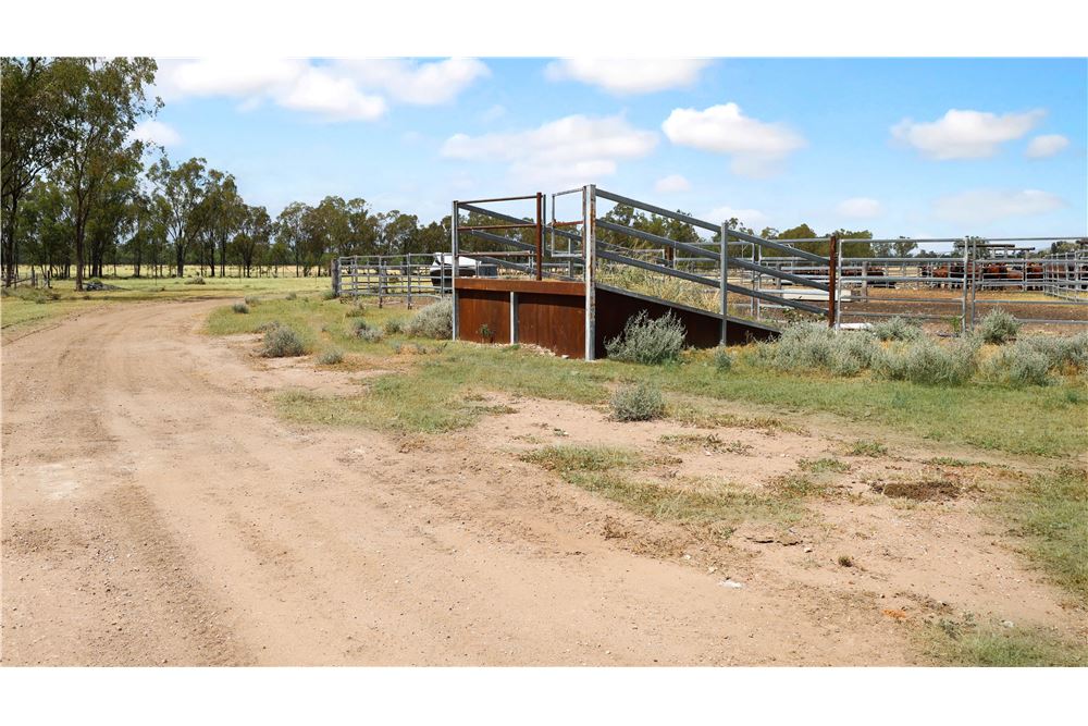 Residencial - Granja - Chinchilla, Australia - Australia - 14 - 1043167008-1264