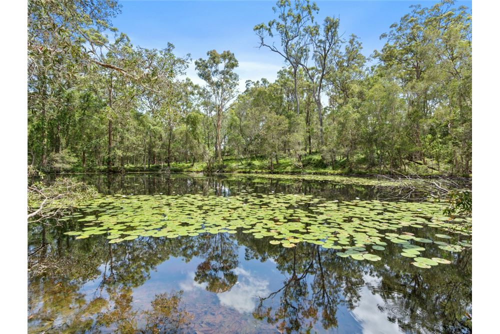 Residenziale - Casa - Gilston, Australia - Australia - 6 - 1043195032-772