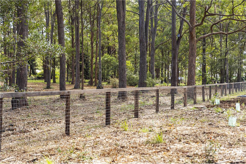 Residencial - Terreno - Cabarlah, Australia - Australia - 10 - 1043167004-90