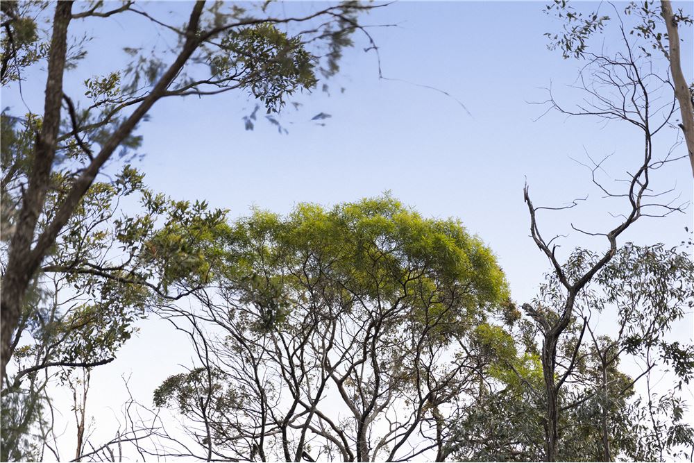 Residencial - Terreno - Highfields, Australia - Australia - 15 - 1043167004-121