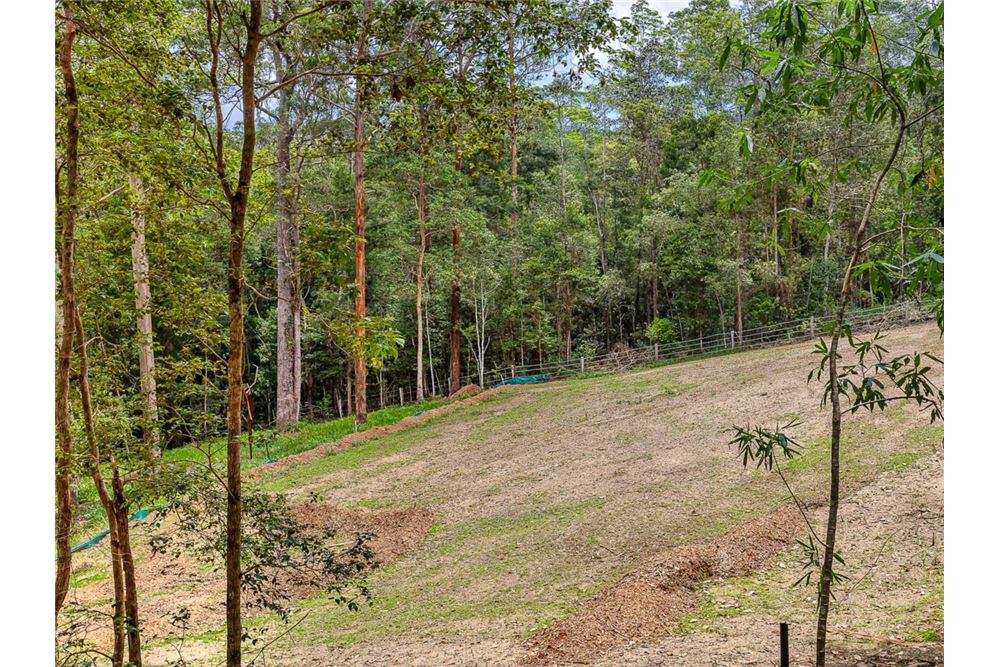 Residential - Land - Bonogin, Australia - Australia - 11 - 1043195032-769