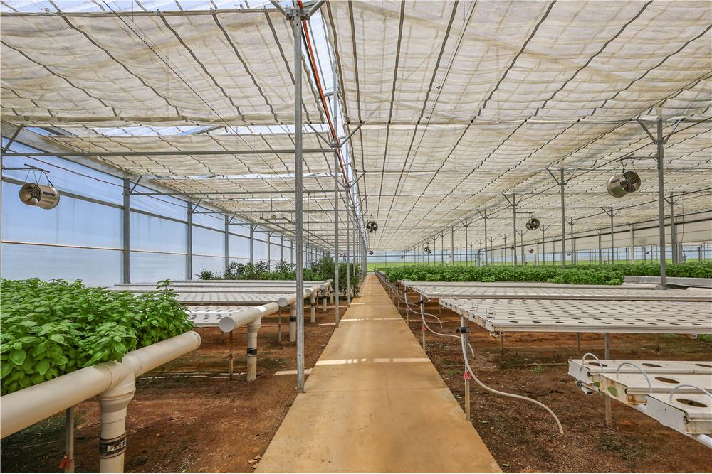 Comercial -  - Harrisville, Australia - Australia - 14 - 1043167008-1263