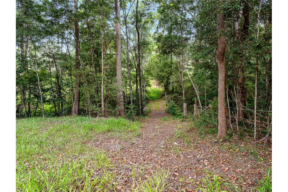 Residential - Land - Bonogin, Australia - Australia - 15 - 1043195032-769