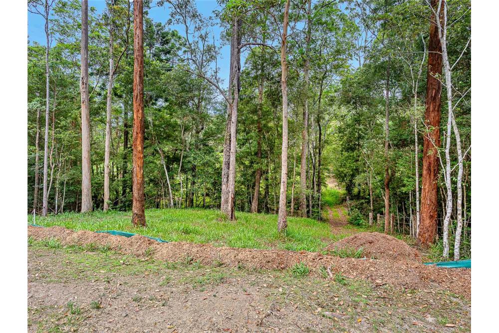 Residential - Land - Bonogin, Australia - Australia - 14 - 1043195032-769