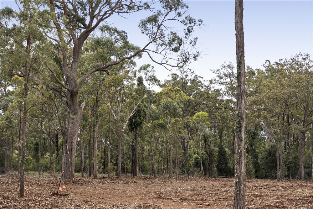 Residencial - Terreno - Highfields, Australia - Australia - 14 - 1043167004-121