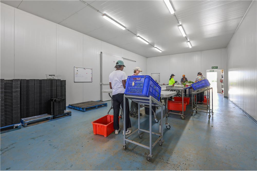 Comercial -  - Harrisville, Australia - Australia - 23 - 1043167008-1263