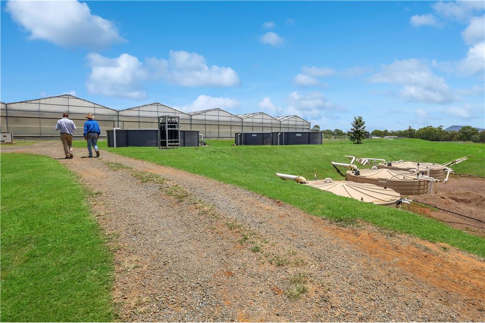 Comercial -  - Harrisville, Australia - Australia - 21 - 1043167008-1263