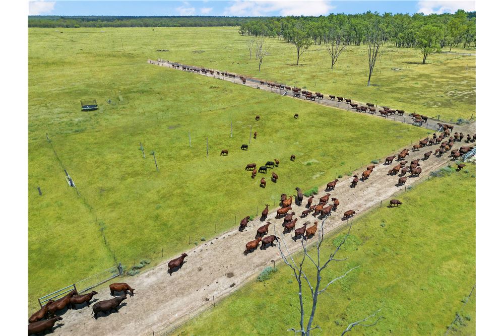 Residencial - Granja - Chinchilla, Australia - Australia - 3 - 1043167008-1264