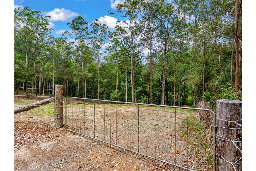 Residential - Land - Bonogin, Australia - Australia - 9 - 1043195032-769