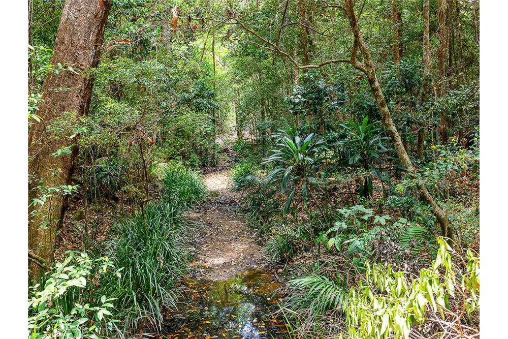 Residential - Land - Bonogin, Australia - Australia - 16 - 1043195032-769