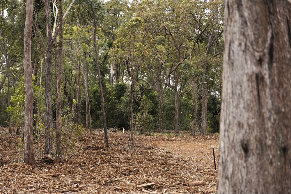 Residencial - Terreno - Highfields, Australia - Australia - 13 - 1043167004-121