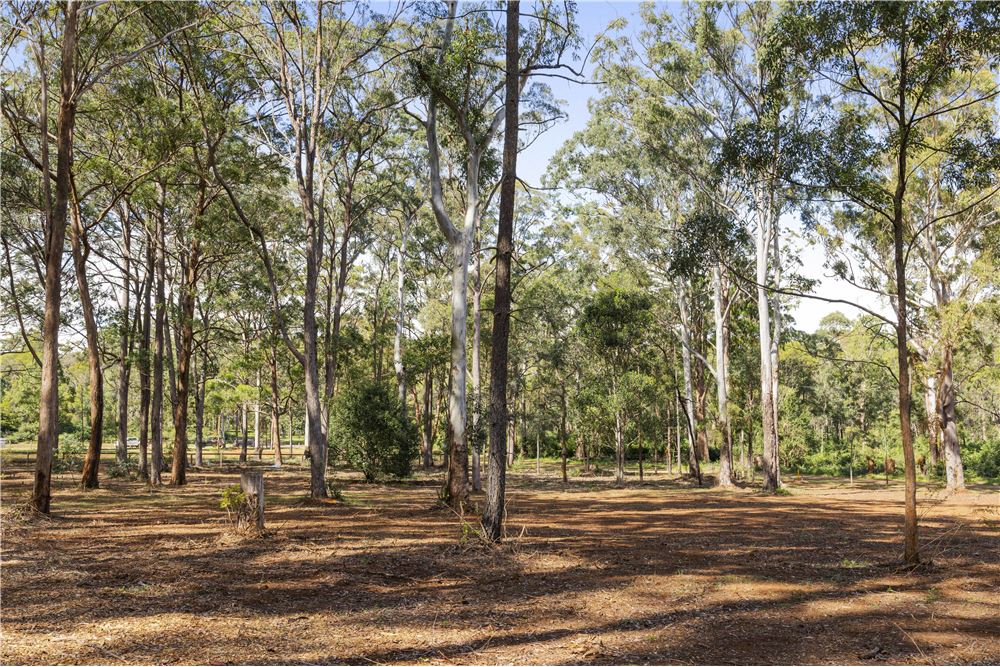 Residencial - Terreno - Cabarlah, Australia - Australia - 12 - 1043167004-90