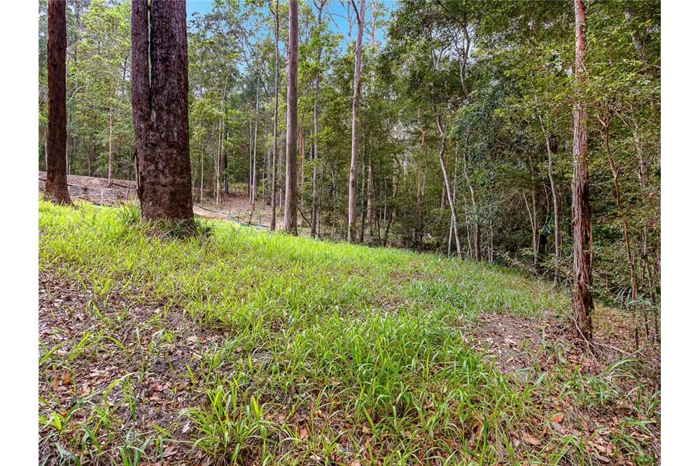 Residential - Land - Bonogin, Australia - Australia - 18 - 1043195032-769