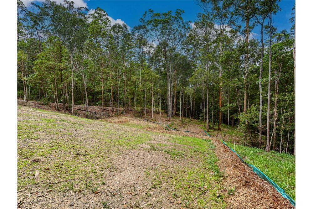 Residential - Land - Bonogin, Australia - Australia - 12 - 1043195032-769