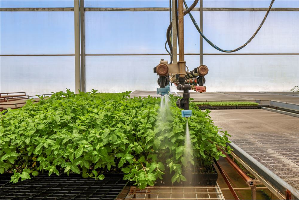 Comercial -  - Harrisville, Australia - Australia - 19 - 1043167008-1263