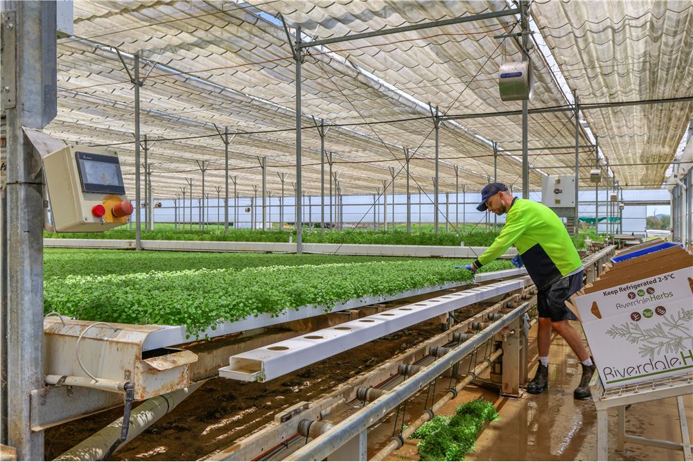 Comercial -  - Harrisville, Australia - Australia - 18 - 1043167008-1263