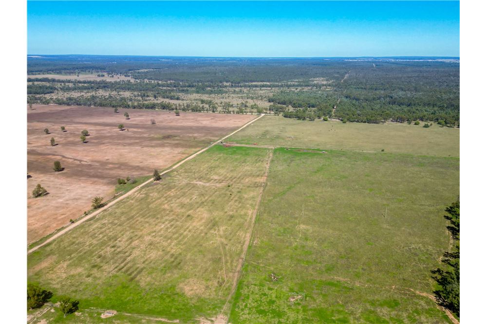 Residencial - Granja - Chinchilla, Australia - Australia - 25 - 1043167008-1264