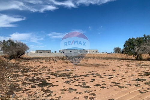 Vente-Terrain-Djerba - Midoun  - 4165  - Djerba - Midoun  - Médenine  - Tunisie-1048030008-134