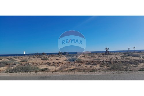 Vente-Terrain-Ghardaya Sedouikech  - Route El Kantara vers Aghir  - Djerba - Midoun  - Djerba - Midoun  - Médenine  - Tunisie-1048030007-126