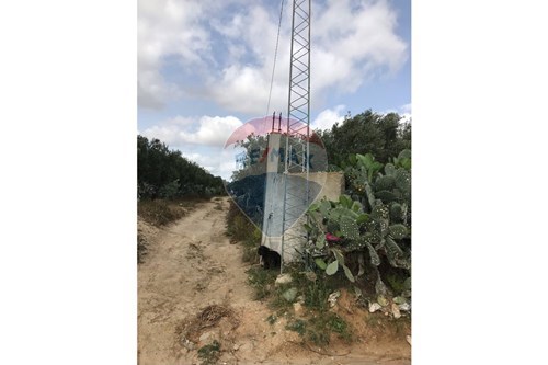 Vente-Terrain agricole-Nabeul  - 8000  - Nabeul  - Nabeul  - Tunisie-1048015059-4