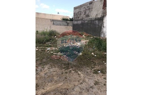 Vente-Terrain-8000  - Nabeul  - Nabeul  - Tunisie-1048015059-9