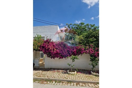 In Affitto-Villa-El Menzah 1  - El Menzah 1  - Tunis  - Tunisia-1048015049-15