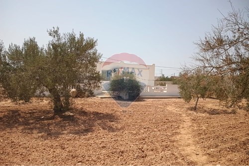 Vente-Villa-Djerba - Houmt Souk  - Djerba - Houmt Souk  - Médenine  - Tunisie-1048030018-99