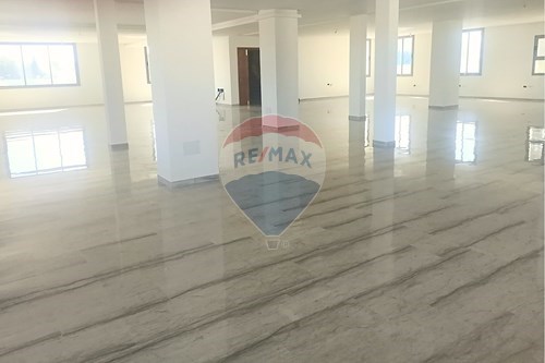 Location-Business-Alain Savary  - Tunis  - Tunisie-1048032022-13