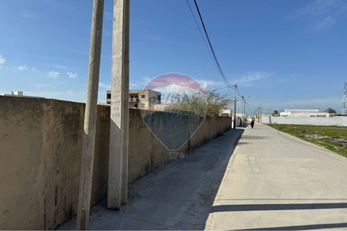 Vente-Terrain-Raoued  - Ariana  - Tunisie-1048004058-19