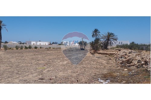 Vente-Terrain agricole-Djerba - Houmt Souk  - Djerba - Houmt Souk  - Médenine  - Tunisie-1048030018-90