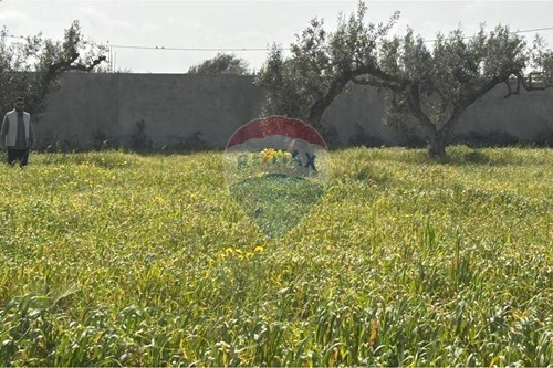 Vente-Lot de terrains-8057  - Hammamet Sud  - Nabeul  - Tunisie-1048042002-27
