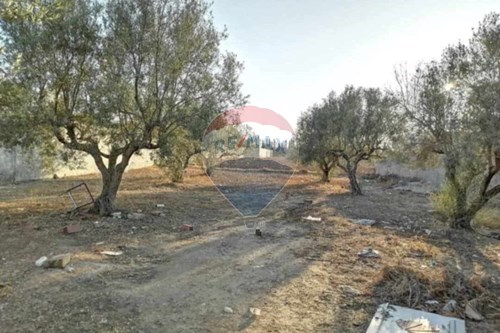Vente-Lot de terrains-Borj Touil  - Raoued  - Ariana  - Tunisie-1048039015-14