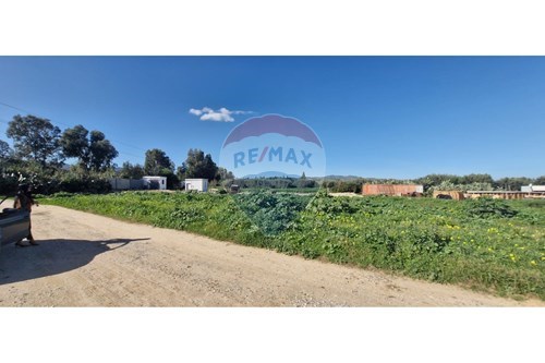 Vente-Terrain-Grombalia  - Nabeul  - Tunisie-1048015050-10