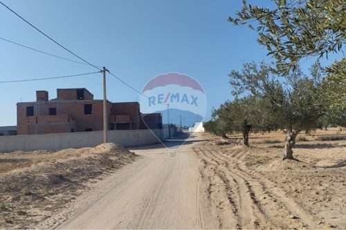 Vente-Terrain-Djerba - Houmt Souk  - Médenine  - Tunisie-1048030020-1