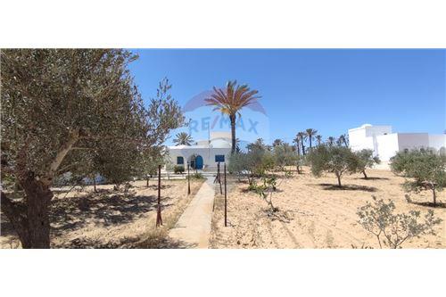 Na predaj-Vila-Djerba - Midoun  - Djerba - Midoun  - Médenine  - Tunisia-1048033010-18