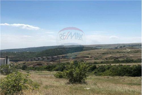 For Sale-Land-Tbilisi-105003024-2535