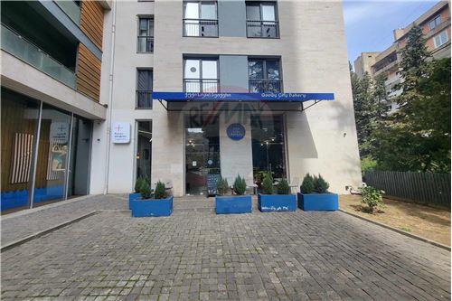 For Sale-Commercial/Retail-Tbilisi-105004001-2759
