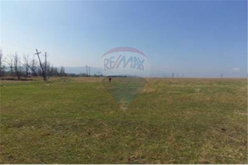For Sale-Land-Tbilisi-105004001-2670